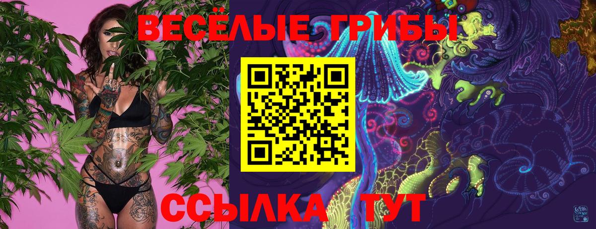 Белебей  Галлюциногенные грибы Magic Shrooms  Псилоцибиновые грибы ЛСД  Вход с VPN 
